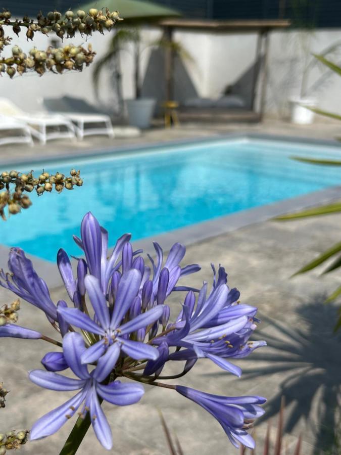 Villa La Pointe D'Aspretto Ajaccio  Exterior foto